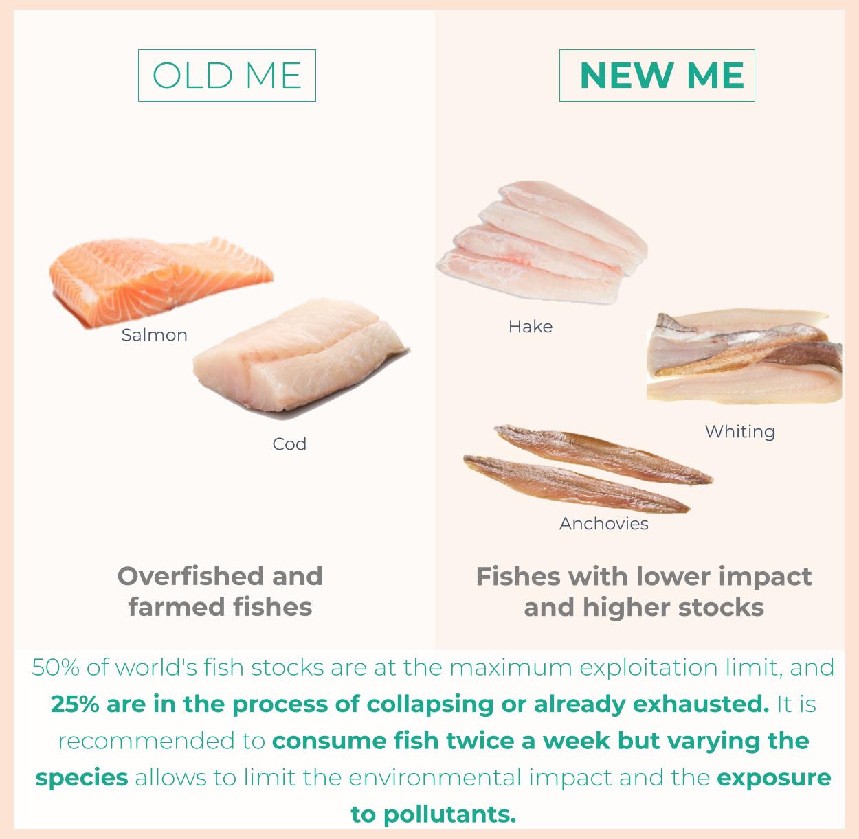 The environmental and health issues with eating fish: Should we consume it? Which quantities and which species to choose?