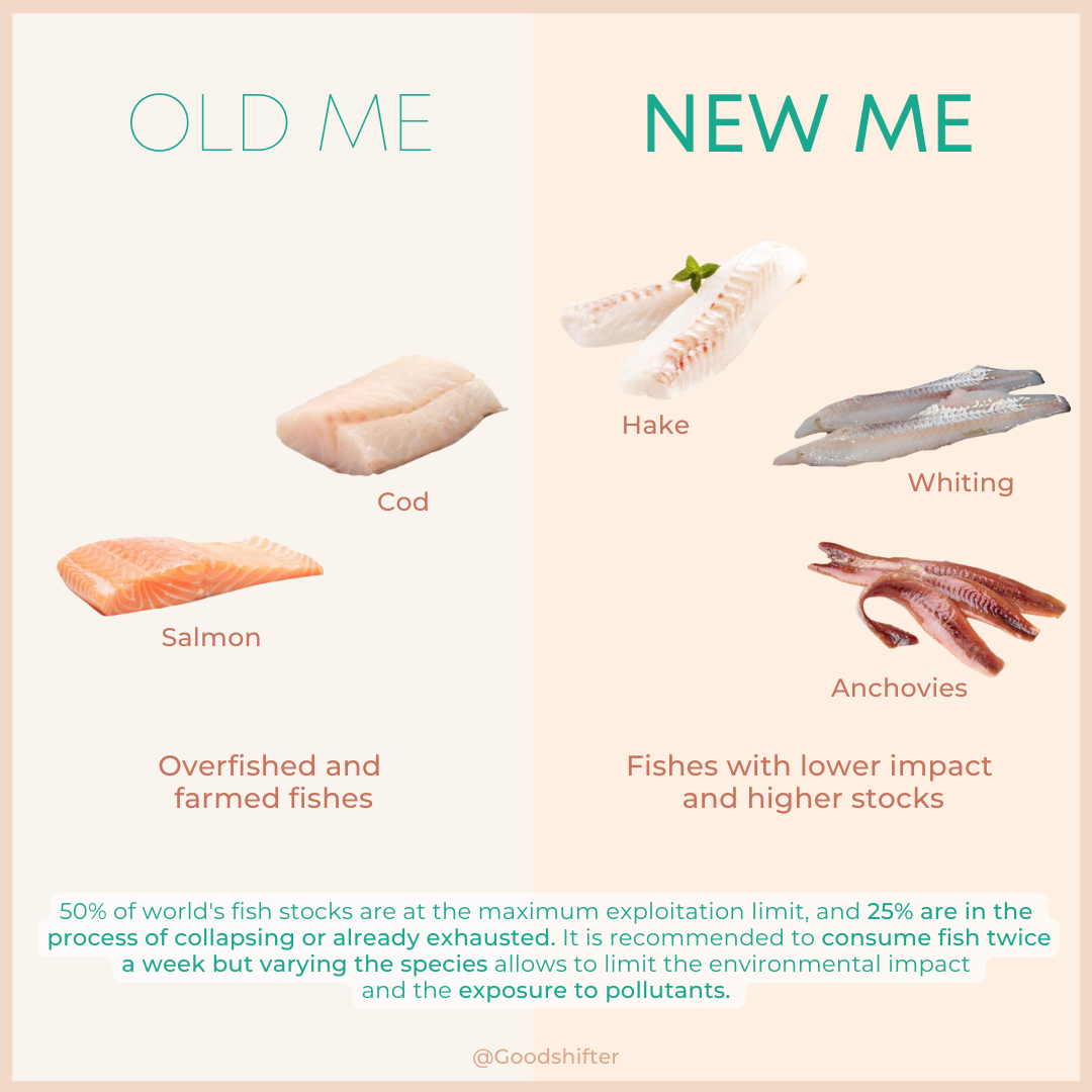 The environmental and health issues with eating fish: Should we consume it? Which quantities and which species to choose?